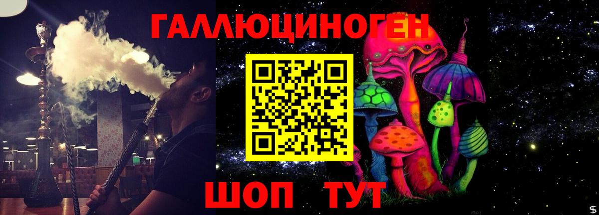 где продают   Вход с VPN  Белгород  Галлюциногенные грибы GOLDEN TEACHER 