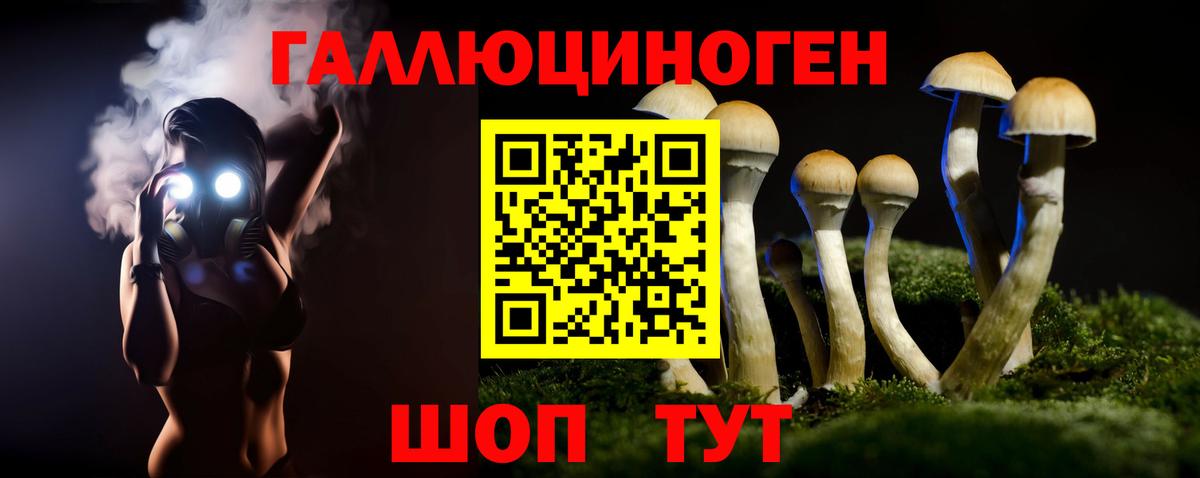 Псилоцибиновые грибы прущие грибы Белгород